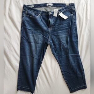 Torrid High Rise Straight Jean 22 short Nwt